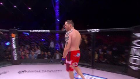 WSOF 01: Andrei Arlovski vs. Devin Cole WSOF 01: Andrei Arlovski vs. Devin Cole