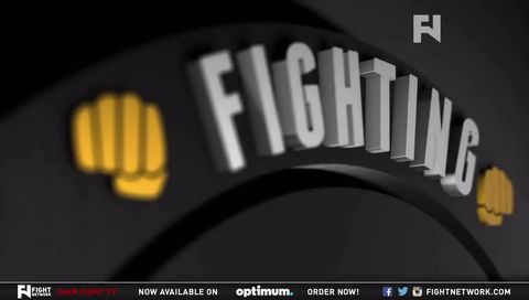 Best of MMA Best of MMA