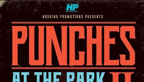 Punches at the Park II Punches at the Park II