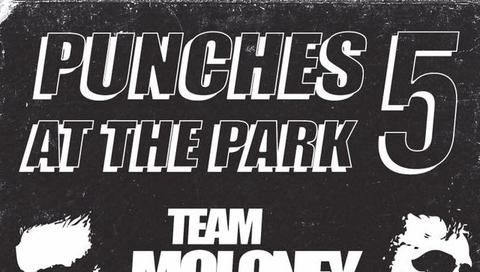 Punches at the Park 5  Punches at the Park 5