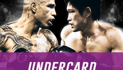 Miguel Cotto vs. Yoshihiro Kamegai Undercard Miguel Cotto vs. Yoshihiro Kamegai Undercard