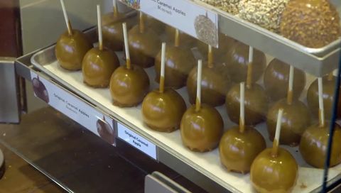 UFC 215 Embedded - Vlog Series - Episode 2 UFC 215 Embedded - Vlog Series - Episode 2