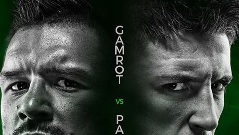 KSW 40 Dublin: Pudzianowski vs. Silva KSW 40 Dublin: Pudzianowski vs. Silva