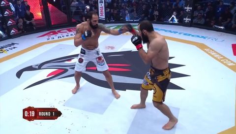 Acb 71: Saidov Vs. Alfaya Knockout Finish Acb 71: Saidov Vs. Alfaya Knockout Finish