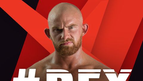 The REX Files - A FITE Story The REX Files - A FITE Story