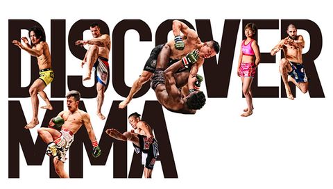 #3: RIZIN.11 #3: RIZIN.11