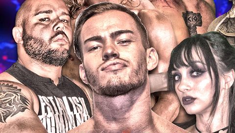 FIP - Establish Dominance