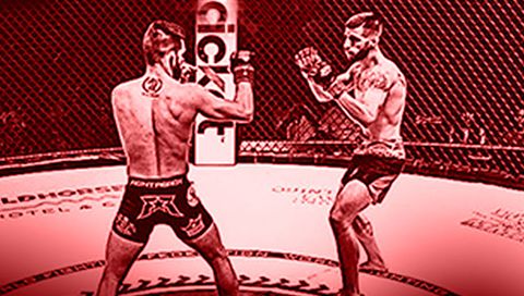 World Fighting Federation 39 World Fighting Federation 39