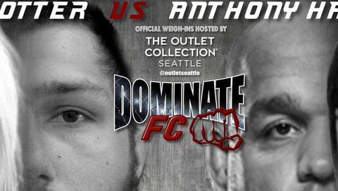 Dominate Fighting Championship 2