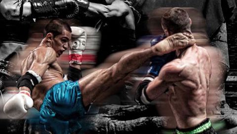 Warriors Cup XXXVIII Warriors Cup XXXVIII