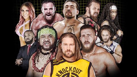 Reality of Wrestling: No Limits Reality of Wrestling: No Limits