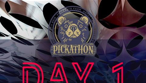 Pickathon: Weekend All Access Pass Pickathon: Weekend All Access Pass