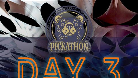 Pickathon: Sat. Woods Stage Pickathon: Sat. Woods Stage