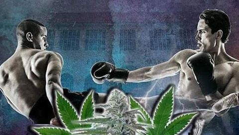 Blunt Force Trauma: Jose Montelongo vs Tater McSpadden