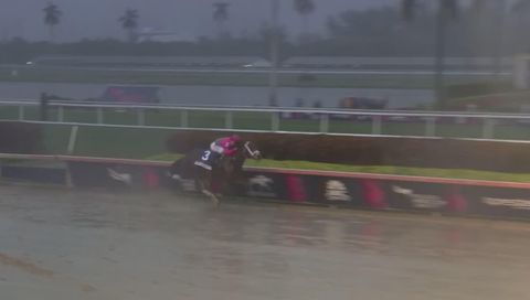 Pegasus World Cup 2019 Dirt, Main Race Pegasus World Cup 2019 Dirt, Main Race