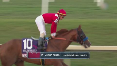 Pegasus World Cup 2020 Dirt, Main Race Pegasus World Cup 2020 Dirt, Main Race