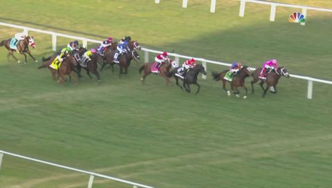 Pegasus World Cup 2020 Turf, Main Race Pegasus World Cup 2020 Turf, Main Race