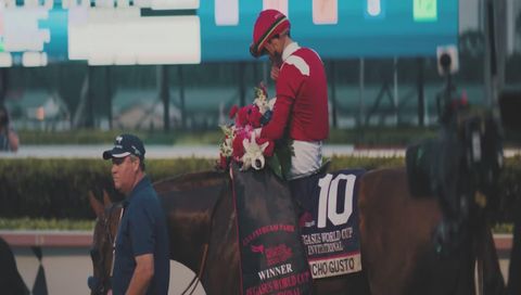 Live the Pegasus World Cup Live the Pegasus World Cup