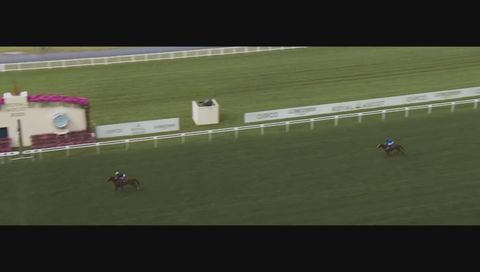 Royal Ascot - The Sensation