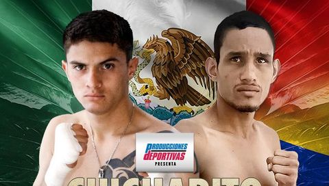 Chicharito vs Cano (en Español) Chicharito vs Cano (en Español)