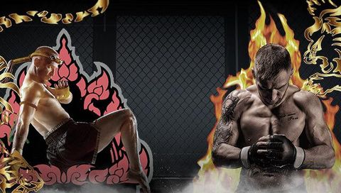 Dominion Fighting Alliance: Ruling & Reigning Combat Series 2