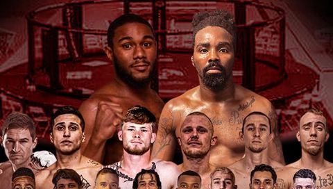 Dynasty Combat Sports: Turf Wars Dynasty Combat Sports: Turf Wars