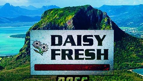 GrappleFest Africa: Daisy Fresh does Mauritius GrappleFest Africa: Daisy Fresh does Mauritius