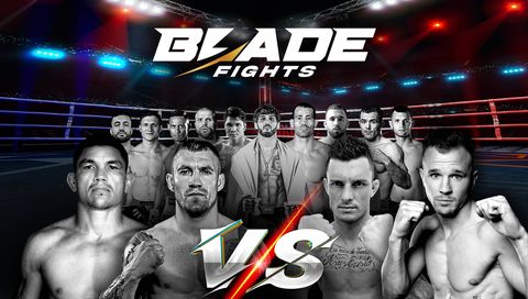 Blade Fights Blade Fights