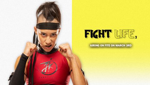 Fight Life 3 Fight Life 3