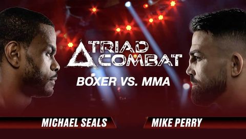 Seals vs Perry | Boxer vs MMA in Triad Combat, Highlights Seals vs Perry | Boxer vs MMA in Triad Combat, Highlights