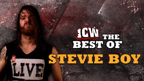 ICW: The Best of Stevie Boy