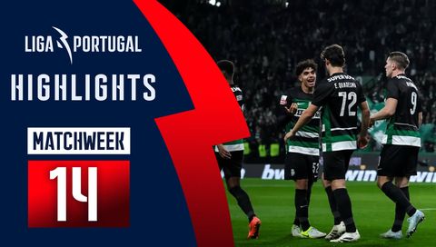 Sporting CP is Back on Winning Track | Week 14, Liga Portugal Betclic 2024/25 Highlights Sporting CP is Back on Winning Track | Week 14, Liga Portugal Betclic 2024/25 Highlights