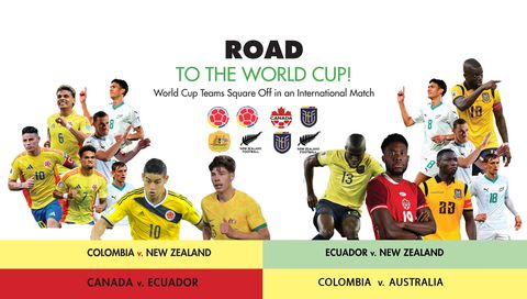 Road to the World Cup: 4 Matches Pack (2 x Ecuador & 2x Colombia)