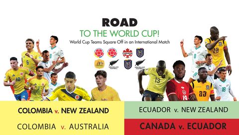 Road to the World Cup: 4 Matches Pack (2 x Ecuador & 2x Colombia) (en Español) Road to the World Cup: 4 Matches Pack (2 x Ecuador & 2x Colombia) (en Español)