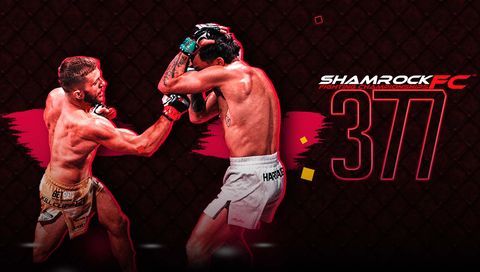Shamrock FC 377