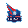 World Series Futsal Channel Logo