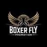 Boxer Fly Channel Logo