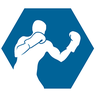 LNK Boxing Channel Logo
