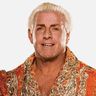 Ric Flair Profile Image