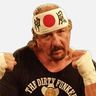 Terry Funk Profile Image