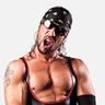 Sean Waltman Profile Image