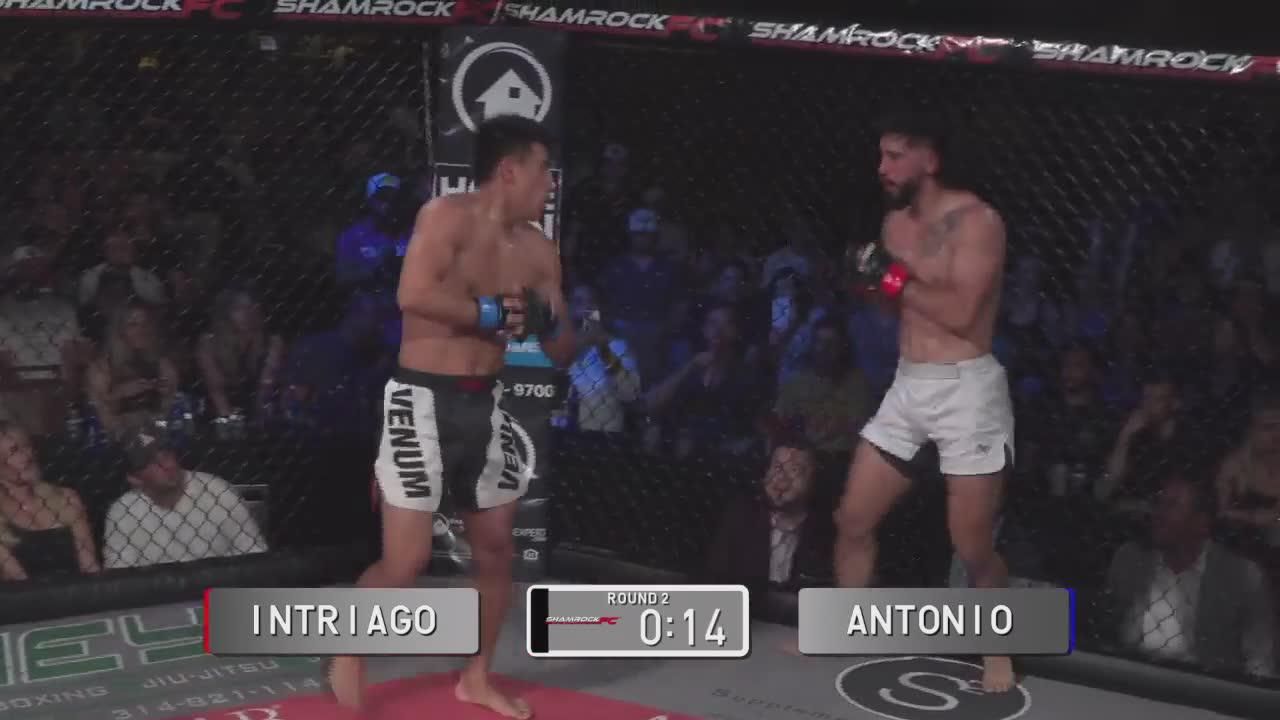 Shamrock FC 339 Official Replay TrillerTV Powered by FITE