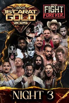 wxw-16-carat-gold-2025-n3-