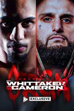 Ben Whittaker vs Liam Cameron 2