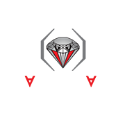 Diamondback Fighting Championship